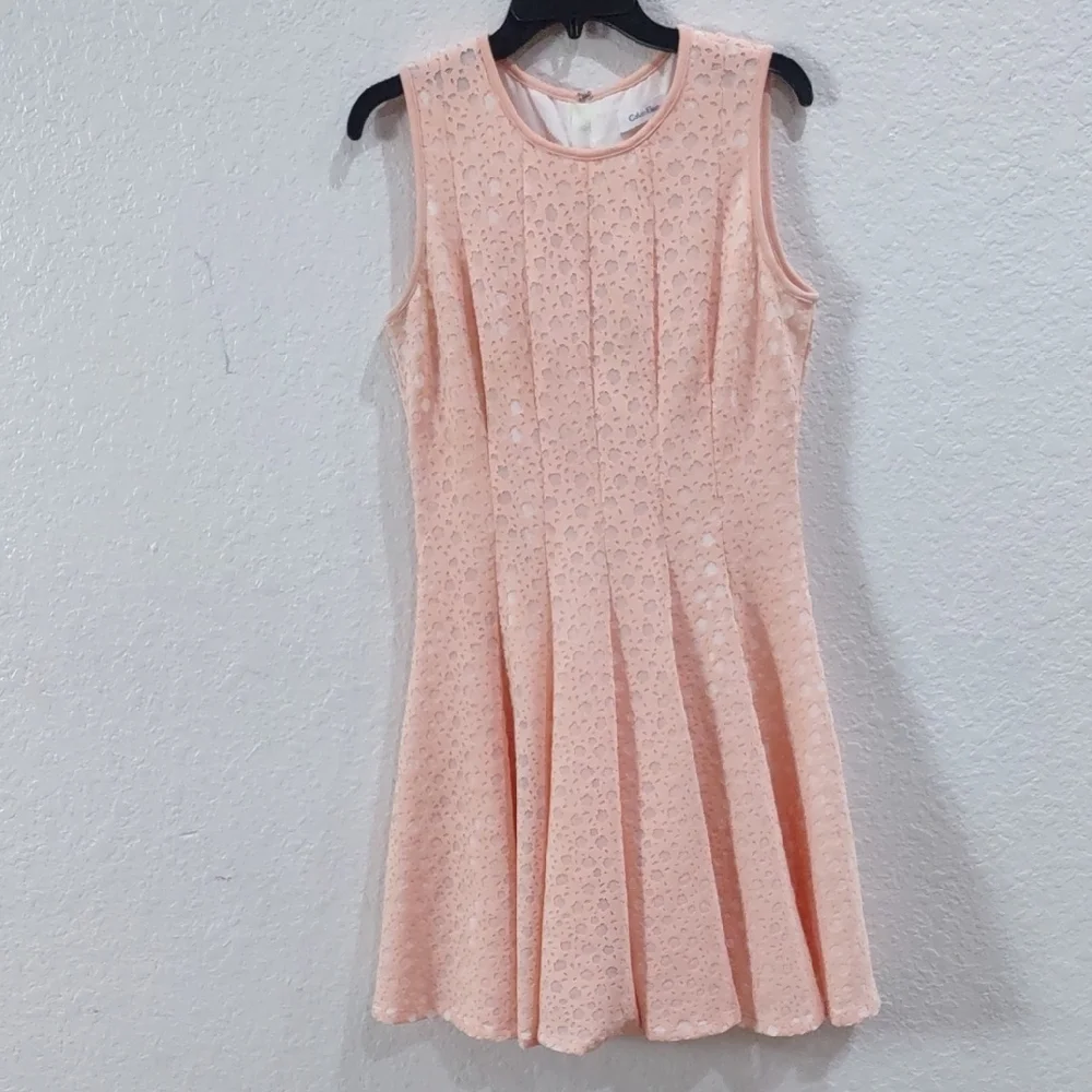 Calvin Klein Elegant Sleeveless Lace Dress in Soft Pink - Picture 3 of 17